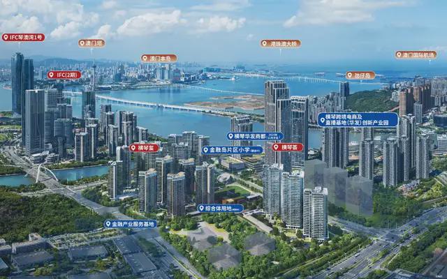 值高地」被全国有钱人买爆了！J9国际网站大湾区新一代「价(图2)