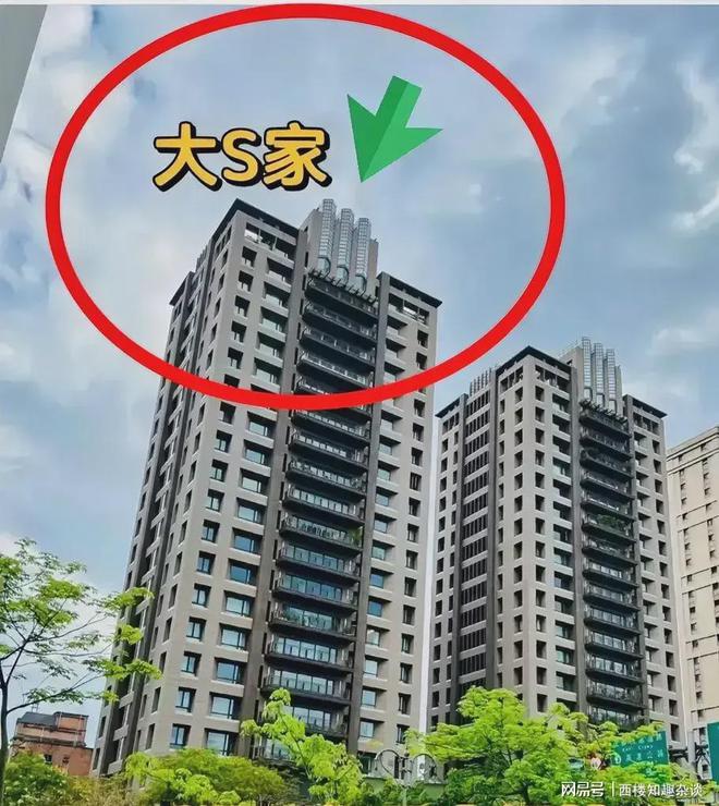 家里这样操作她的邻居没有意见吗？J9九游会大s骨灰不下葬要放在