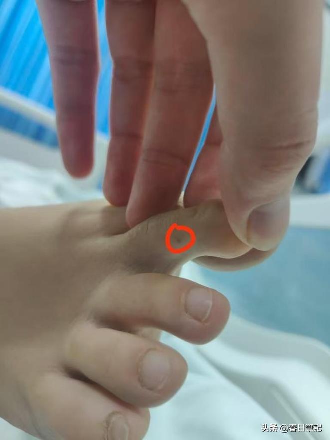 续！身份信息曝光家属发声抢救后称没经验J9真人游戏第一品牌女游客被蛇咬身亡后(图11)
