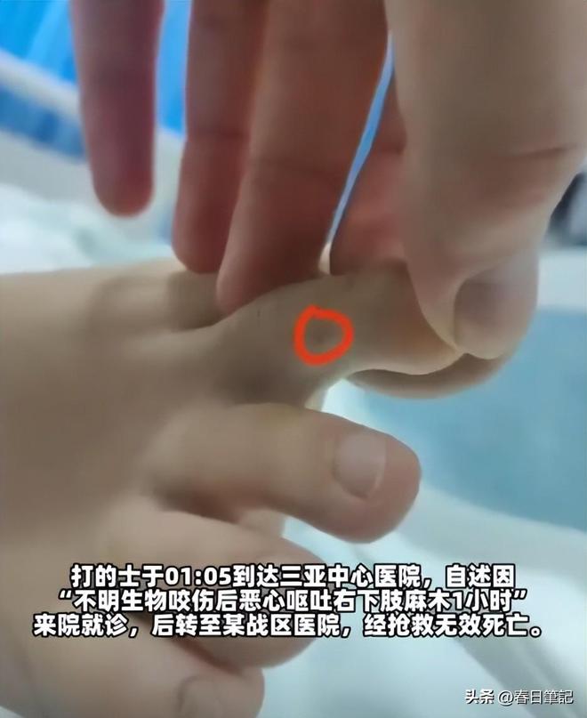 续！身份信息曝光家属发声抢救后称没经验J9真人游戏第一品牌女游客被蛇咬身亡后(图25)